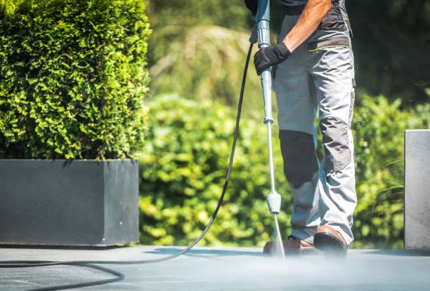 Best Sidewalk and Walkway Cleaning  in Bayport, MN