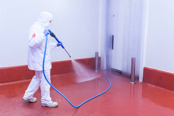 Best Winterizing Services  in Bayport, MN